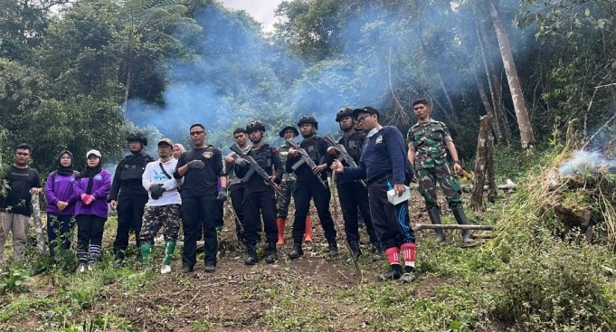 Geger! Ladang Ganja Ribuan Batang Ditemukan di Pegunungan Madina
