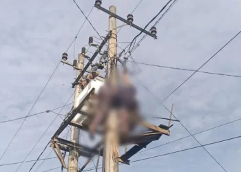 Ditiang Trafo, Pencuri Kabel PLN Tewas Kesetrum Listrik