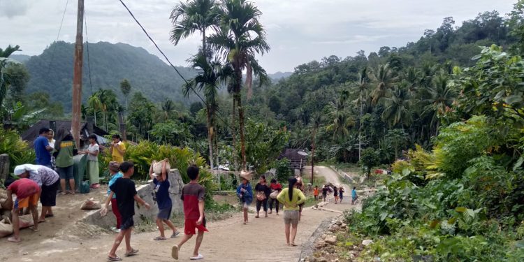 Pemerintah Desa Awoni Genjot Pembangunan, Semenisasi Jalan Usaha Tani Jadi Prioritas Dana Desa 2025