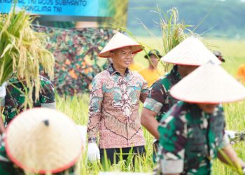 Pemkab Langkat Dukung TNI Perkuat Ketahanan Pangan Lewat Panen Raya di Deli Serdang