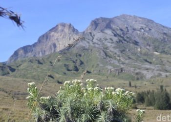 Pemerintah Tutup Sementara Jalur Pendakian Gunung Rinjani Secara Total