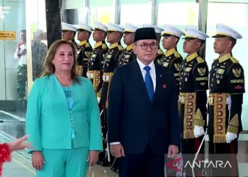 Presiden Peru Dina Boluarte tiba di Indonesia untuk temui Prabowo