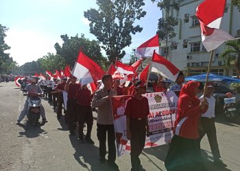 Ribuan Peserta Pawai Alegoris Meriahkan HUT ke-80 RI