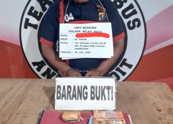 Polisi Tangkap Pengedar Sabu di Bilah Hulu, Barang Bukti Disembunyikan di Tunggul Pohon Sawit