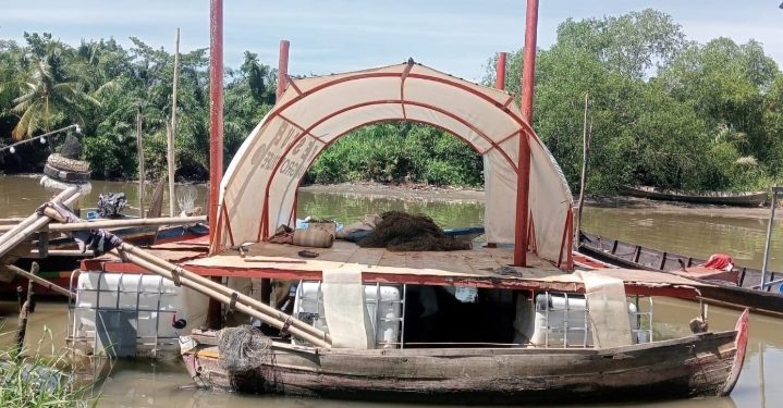 Sambut HUT RI ke-80, AMPHIBI Gaungkan Aksi Tanam 25.000 Mangrove dan Luncurkan “Rumah Jaga Rescue Mangrove For Life”