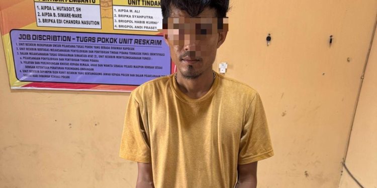 Polsek Bilah Hilir Grebek Markas Sabu, Seorang Pengedar Ditangkap