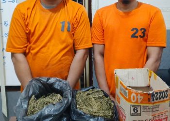 2 Warga Bekasi Ditangkap Bawa Ganja dan Tabrak Kapos Lantas