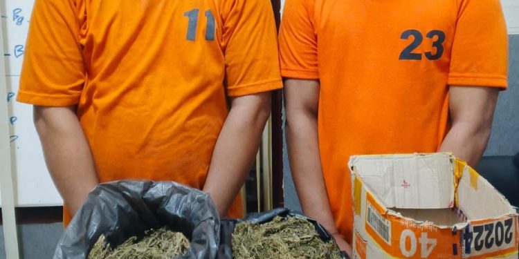 2 Warga Bekasi Ditangkap Bawa Ganja dan Tabrak Kapos Lantas