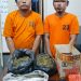 2 Warga Bekasi Ditangkap Bawa Ganja dan Tabrak Kapos Lantas
