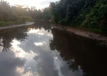 Limbah PKS Cemari Sungai Batang Serangan, Ikan Mati, Warga Kehilangan Nafkah, Pemerintah Diminta Bertindak Tegas