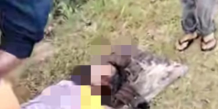 Petir Maut Sambar Warga Humbahas, 1 Tewas, 1 Kritis di Tengah Ladang