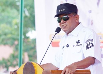 Semangat Juang Berkobar, Langkat Bumi Sejarah dan Destinasi Investasi