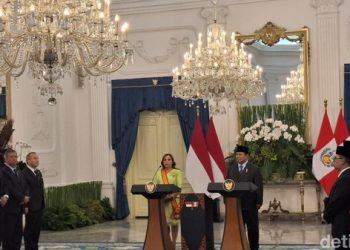 Prabowo Sambut Baik Peru Dukung Palestina Merdeka, Wujudkan Solusi 2 Negara