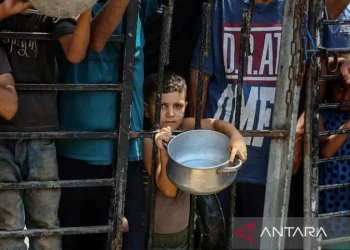 PBB: Anak Gaza Terancam Jadi “Generasi Hilang” Akibat Perang Israel