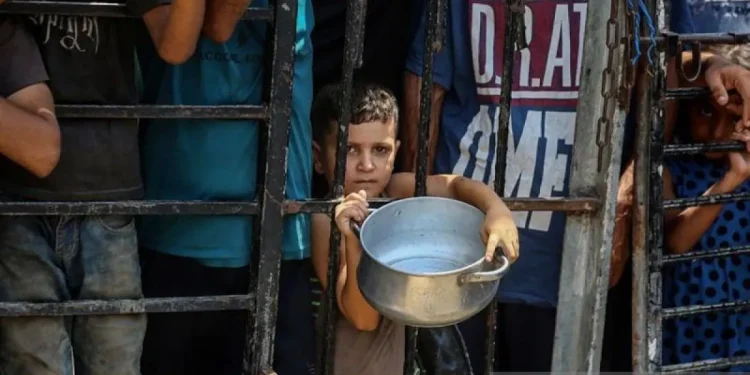 PBB: Anak Gaza Terancam Jadi “Generasi Hilang” Akibat Perang Israel