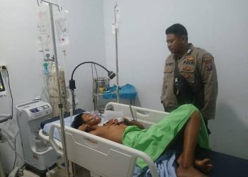 Tragedi Monyet Liar Ekor Panjang di Pangkalan Berandan, Ancaman Nyata yang Dibiarkan Berlarut