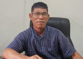 Dibalik Rindang, Nyawa Melayang: Pohon Tumbang, Negara Abai