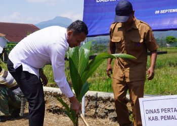 Dukung ketahanan Pangan Nasional Rutan Pemalang Tanam 30 Pohon kelapa Hybrida