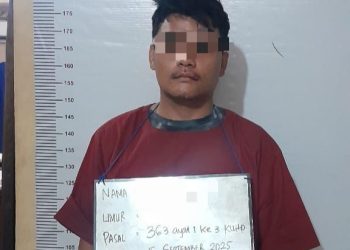 Hitungan Jam, Polsek Aek Natas Ringkus Pelaku Curanmor