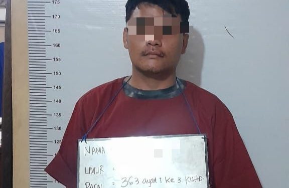 Hitungan Jam, Polsek Aek Natas Ringkus Pelaku Curanmor