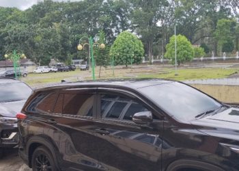 Pimpinan DPRD Beli Mobil Dinas Baru, Mantan Ketua KNPI Pasaman Barat Minta Pimpinan Parpol Evaluasi Pimpinan DPRD