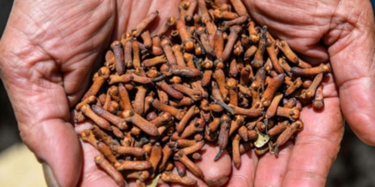 Pasca Temuan Udang-Cengkeh Tercemar Radioaktif, Amerika Serikat Terapkan Persyaratan Baru untuk Produk Indonesia