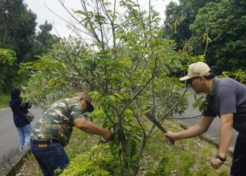 Bupati Pasaman Barat Yulianto Bersama Jajaran Pemkab Pasaman Barat Laksanakan Gotong Royong Bersama