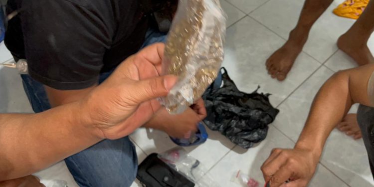 Buron Narkoba Fajar “Vera” Ditangkap: Jaringan Gelap di Agam Tercium, Bandar Besar Kabur