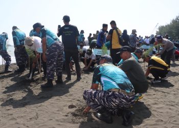 Memperingati HUT TNI Ke -80,Lanal Tegal Tanam Ratusan Cemara Laut dan Bhakti Sosial