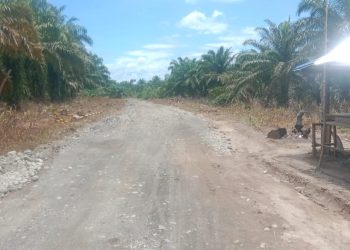 Pembukaan Jalan 5,8 KM di Nagari Katiagan Program TMMD Kodim 0305 Pasaman