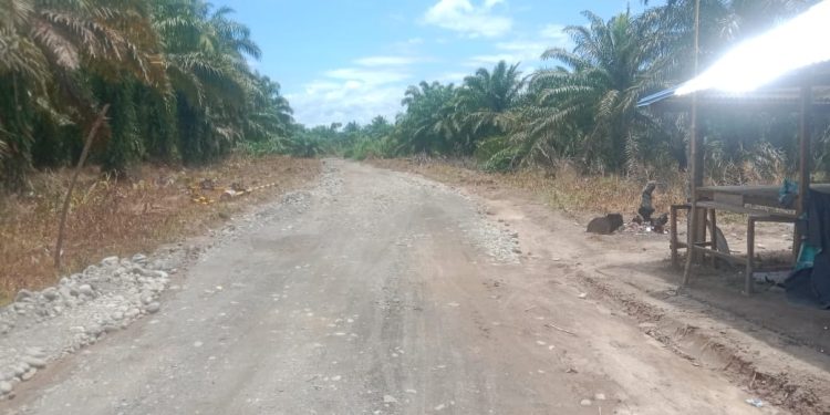 Pembukaan Jalan 5,8 KM di Nagari Katiagan Program TMMD Kodim 0305 Pasaman