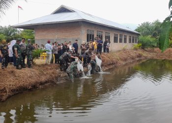 TMMD Kodim 0305 Pasaman, Bagikan Bibit Ikan dan Bibit Tanam Kemasyarakat Mandiangin