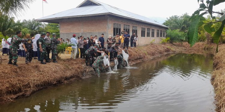 TMMD Kodim 0305 Pasaman, Bagikan Bibit Ikan dan Bibit Tanam Kemasyarakat Mandiangin