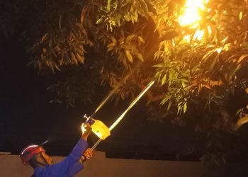 Bikin Panik Warga, Tim Damkar Lakukan OTT Afinnis