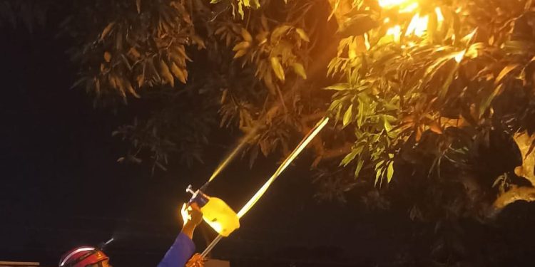 Bikin Panik Warga, Tim Damkar Lakukan OTT Afinnis