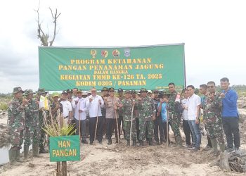 Personil Kodim 0305 Pasaman Dampingi Masyarakat Mandiangin Tanam Jagung