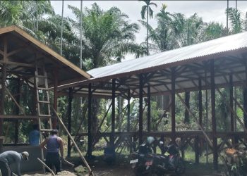Nagari Aia Gadang Barat, Pasaman Barat Kembangkan Budidaya Ayam Petelur