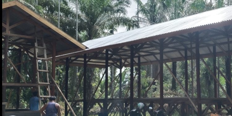 Nagari Aia Gadang Barat, Pasaman Barat Kembangkan Budidaya Ayam Petelur