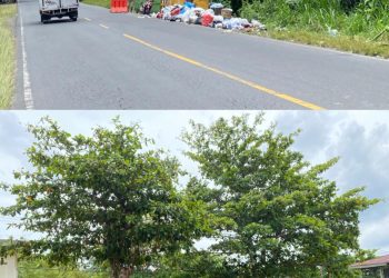 AMPB Minta Bupati Pasaman Barat Copot Kadis DLH Diduga Tutup Mata Sampah Menumpuk