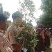 Ratusan Pohon Ditanam Siswa SMP 6 Pemalang Sebagai Wujud Nyata Cinta Lingkungan
