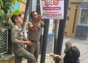 Penertiban Reklame di Beberapa Sudut Kota Pemalang Digelar Satpol PP