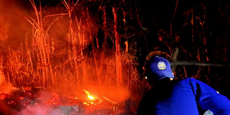 Ditinggal Pergi Saat Kompor Menyala,Rumah Seorang Kakek di Pemalang Ludes Terbakar