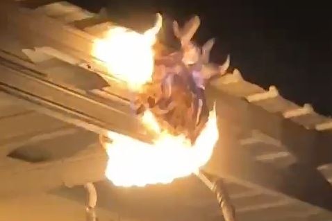 Ancam Keselamatan Warga,Sarang Tawon Sebesar Bola Basket Dibakar Tim Damkar Pemalang