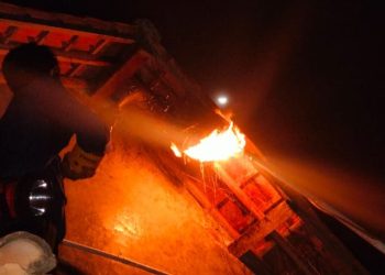 OTT Tim Damkar Pemalang, Berhasil Musnahkan 2 Sarang Tawon Affinis