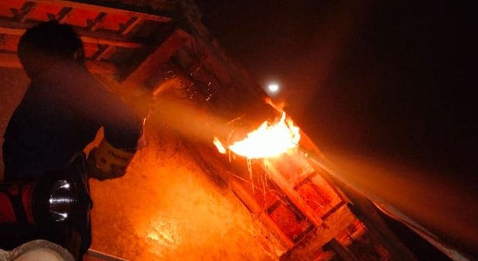 OTT Tim Damkar Pemalang, Berhasil Musnahkan 2 Sarang Tawon Affinis