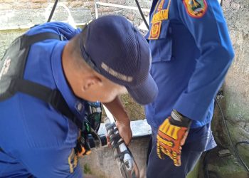 Kucing Terjebur ke Dalam Sumur Selama 3 Hari, Berhasil Diselamatkan Tim Damkar Pemalang