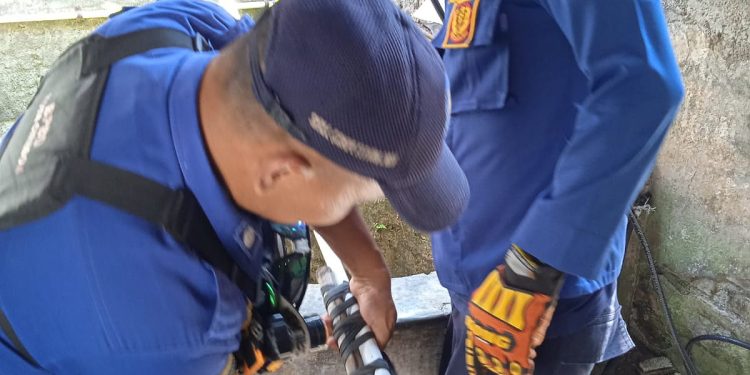 Kucing Terjebur di Sumur Selama 3 Hari, Berhasil Diselamatkan Tim Damkar Pemalang