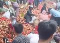 Viral Bawang Bombai Dibuang di Batam, Warga Berebut, Polisi Turun Tangan