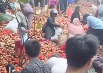 Viral Bawang Bombai Dibuang di Batam, Warga Berebut, Polisi Turun Tangan