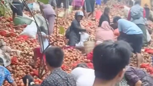 Viral Bawang Bombai Dibuang di Batam, Warga Berebut, Polisi Turun Tangan